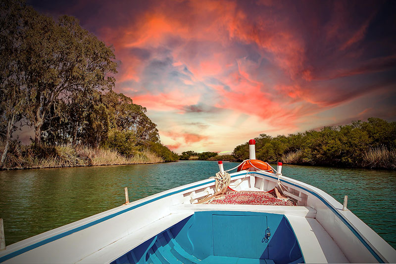 Bentota River Mangrove Safari