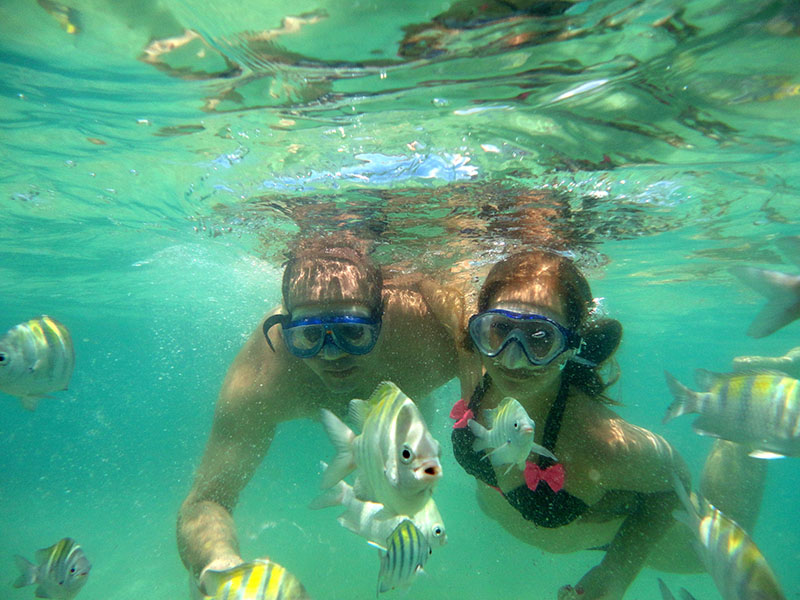 Coral Reef Snorkeling Tours